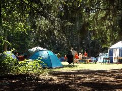 camping with kids