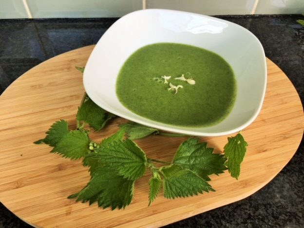 The Best Nettle Soup Recipe Seriously You Ll Love It