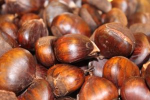 Sweet Chestnuts