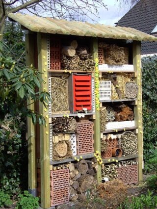 Bug House