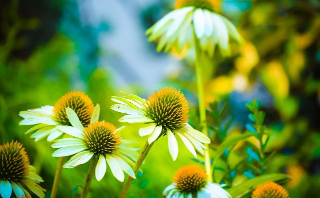 helping children with hay-fever