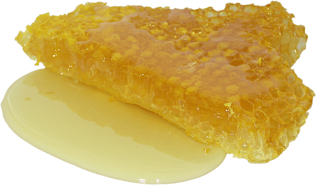 raw organic honey