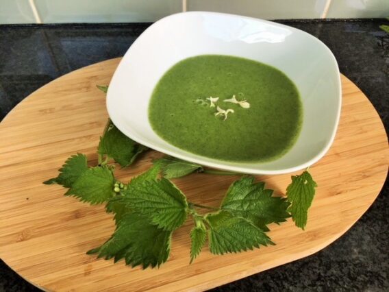 Nettle soup recipe