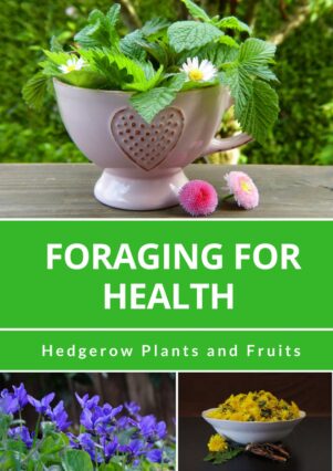 Foraging for Health - Hedgerow Plants and Fruits by Georgina Starmer