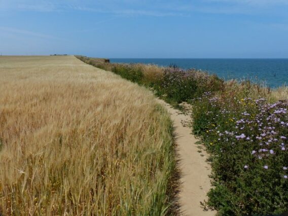 long distance walks uk