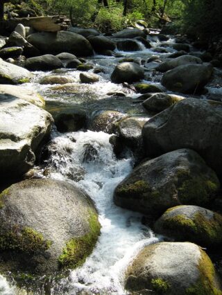 purify water while hiking