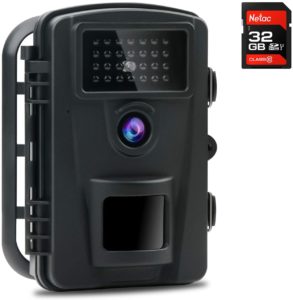 wildlife trail camera