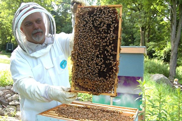 bee keeping