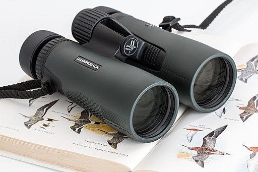 best binoculars for birds