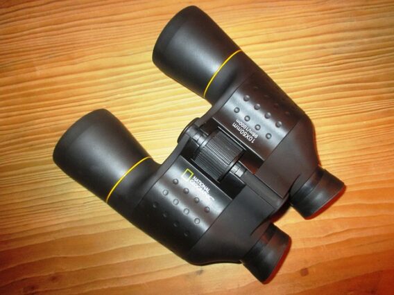 best binoculars for birding