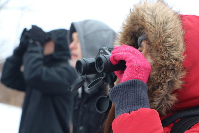 best binoculars for winter