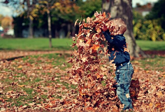 things to do with kids in autumn