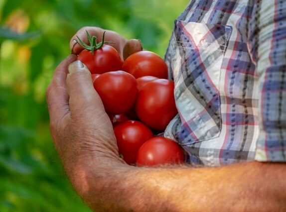 seasonal fruit and veg