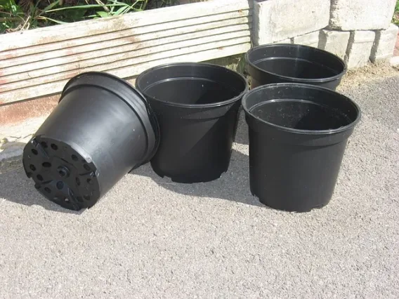 large pots