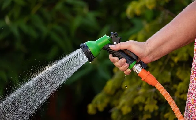 watering vegetable pots