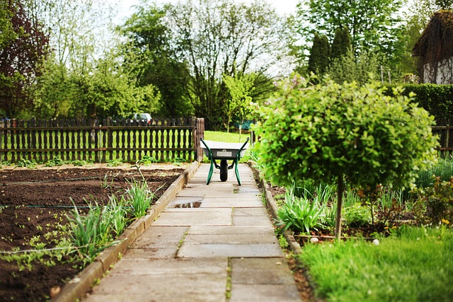 vegetable garden layout