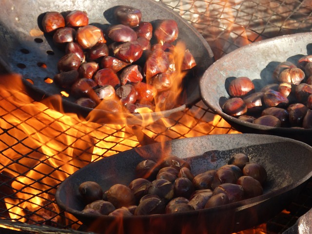 roast chestnuts on a fire