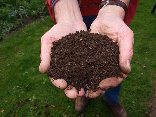 make compost at home