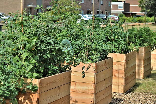 benefits of raised garden beds