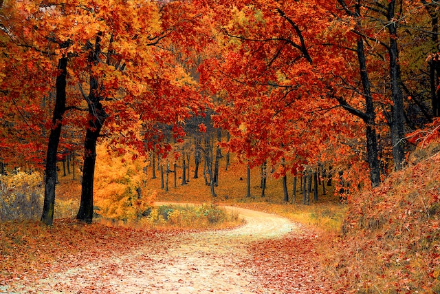 The Benefits of Autumn and Winter: Cherish the Great Outdoors