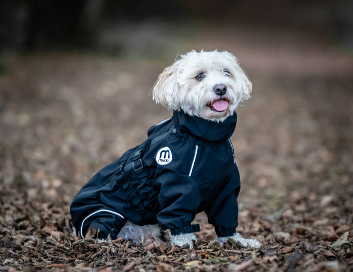 rainproof dog coat with legs