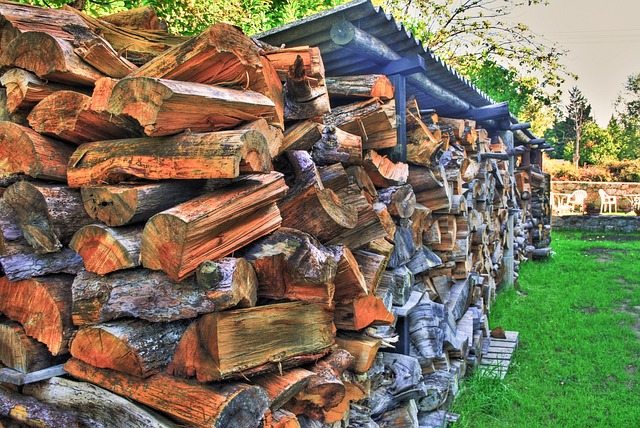 storing firewood