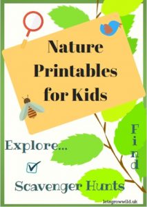 Nature Activity Printable Worksheets for Kids