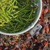 foraging for samphire
